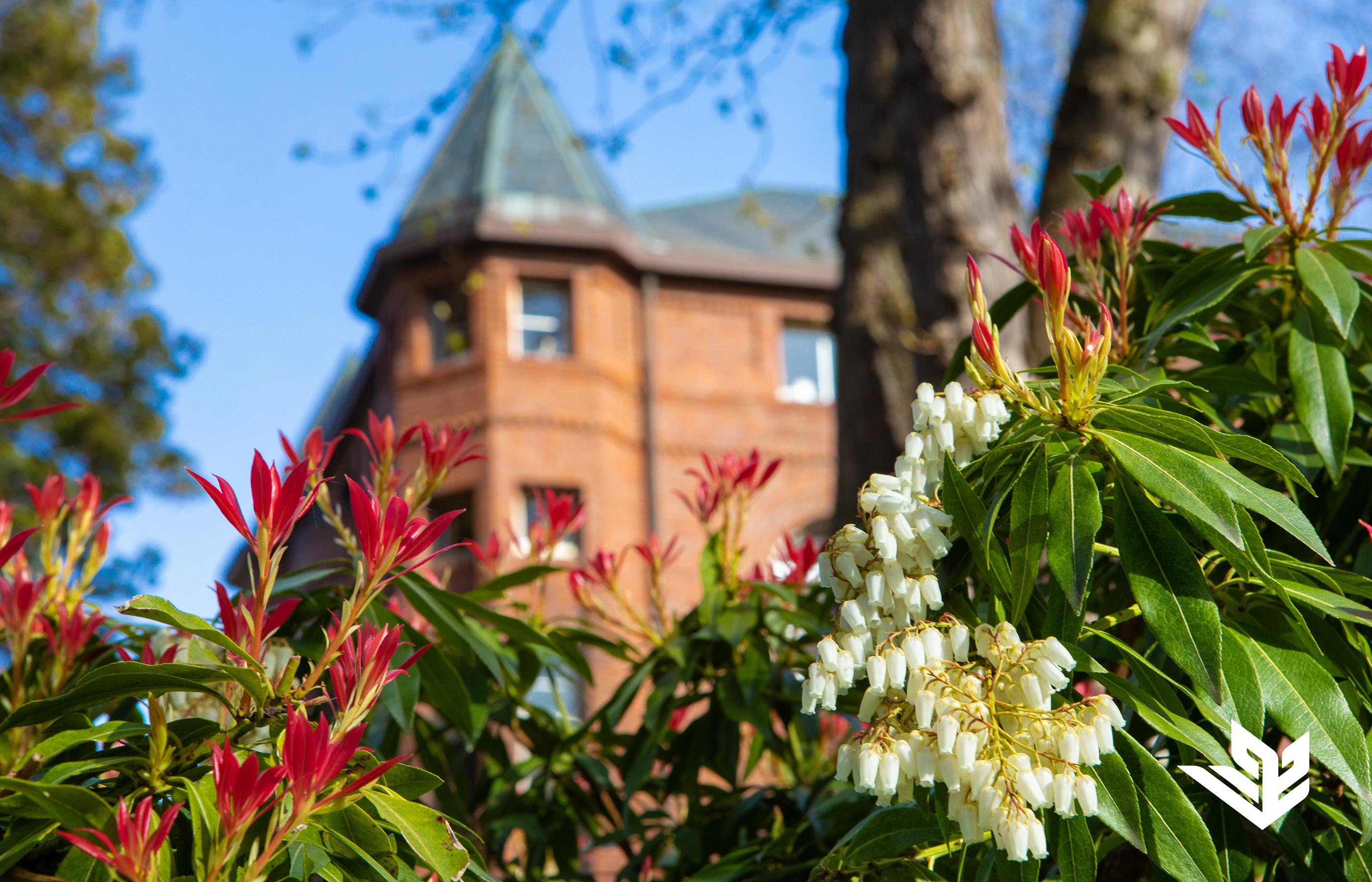 A campus image with summer foliage in the foreground and historic Alexander and Adelaide Hall in the background at Seattle Pacific University